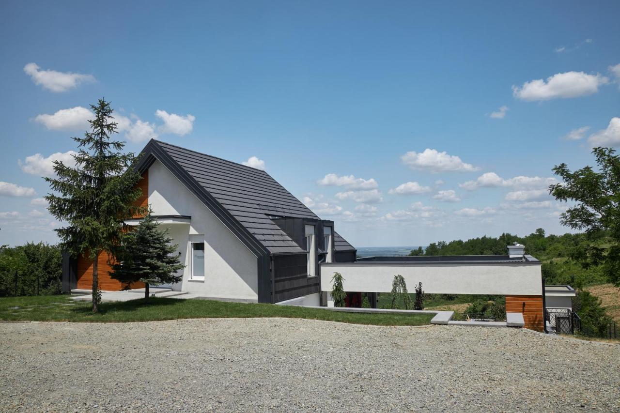 Riverside Pool Villa-Sremski Karlovci Eksteriør bilde