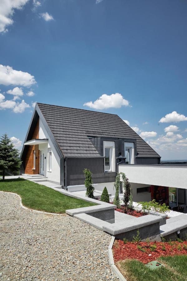 Riverside Pool Villa-Sremski Karlovci Eksteriør bilde